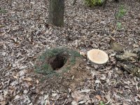 ein Bild aus dem Album